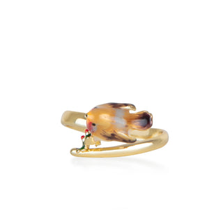 Robin Ring from above