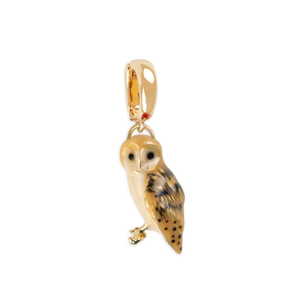 Bill Skinner Owl In A Moon Ketting main image 1