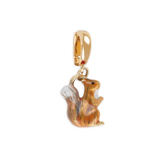 Squirrel Charm