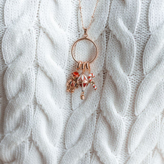 Charm Ring Necklace