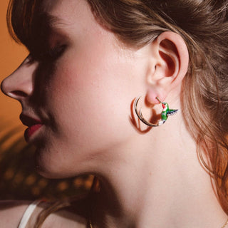 Hummingbird Hoops