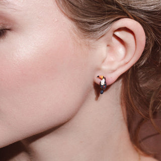 Toucan Studs
