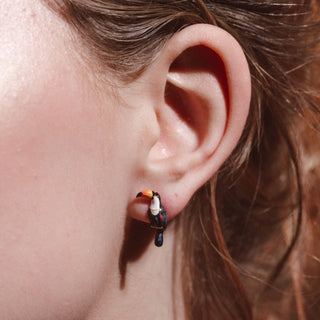 Toucan Studs