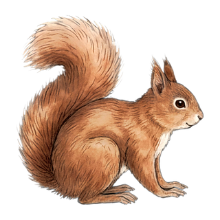 Gifts For Animal Lovers