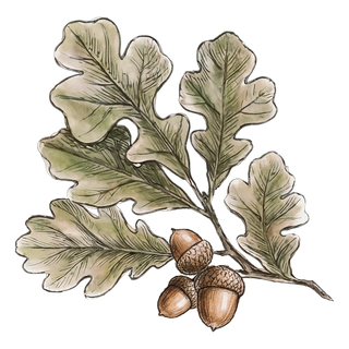 Gifts for Nature Lovers