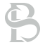 Bill Skinner Studio logo